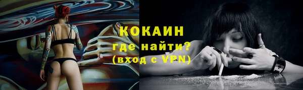 дживик Аркадак