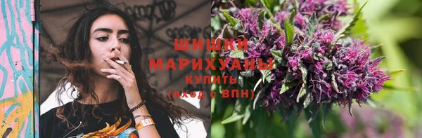 дживик Аркадак