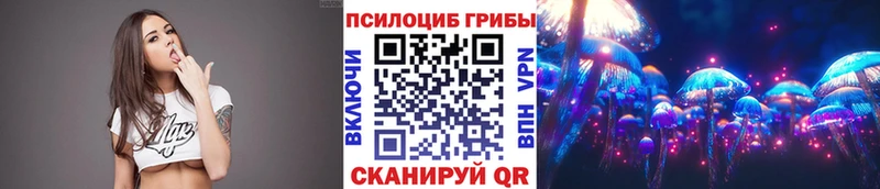 наркошоп  Суоярви  Псилоцибиновые грибы GOLDEN TEACHER 